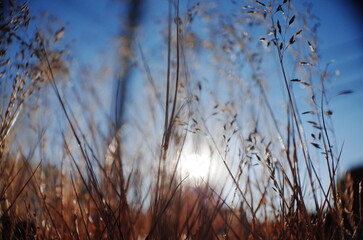 Nature in close up and abstract