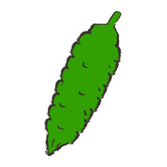 ゴーヤのイラスト