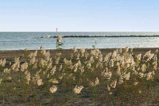 Beautiful sunset landscape, windsurfers enjoying the windy day at Alaminos beach Larnaca Cyprus