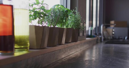 Displaying row of small potted herb plants sitting on wooden windowsill, with dark counter and sink