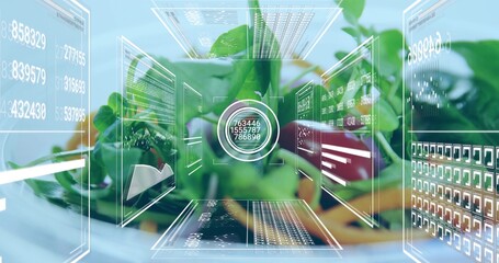 Displaying small potted leafy plant sitting on white surface, showing holographic UI panels