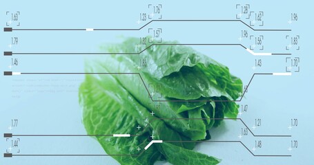 Displaying cluster of green lettuce leaves on pale blue tabletop, showing HUD overlays and droplets