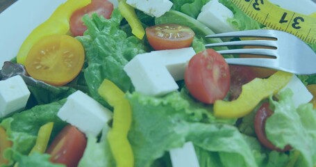 Showing salad on white plate, lettuce, red or yellow tomatoes, yellow pepper, measuring tape © vectorfusionart