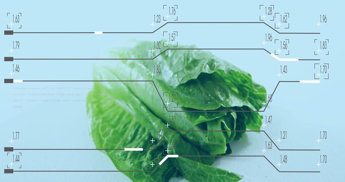 Displaying cluster of green lettuce leaves on pale blue tabletop, showing HUD overlays and droplets