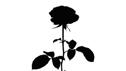 Elegantly simple rose silhouette for romantic designs, invitations, or creative projects with floral theme