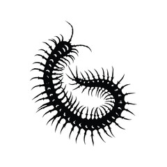 Black and white illustration of a millipede vector style