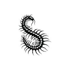 Black and white illustration of a millipede vector style