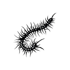 Black and white illustration of a millipede vector style