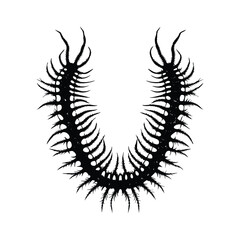 Black and white illustration of a millipede vector style