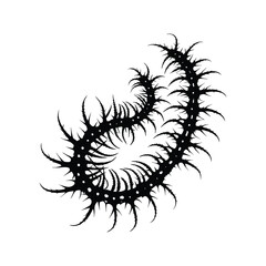 Black and white illustration of a millipede vector style