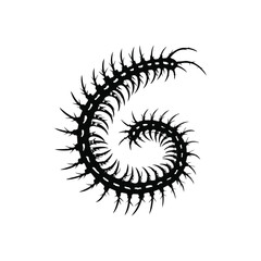 Black and white illustration of a millipede vector style