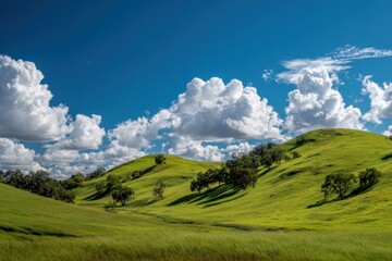 Fototapeta premium Serene landscape with green hills against a clear blue sky featuring fluffy clouds and distant trees, evoking tranquility and harmony for nature enthusiasts and serene lifestyle imagery