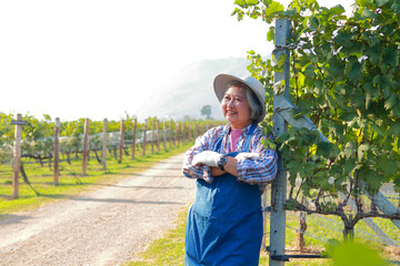 Portrait of an elderly female farmer wearing a hat working in a rural vineyard. She smiles happily. Agriculture concept. Food business. copy space