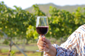 Farmer holding glass of wine grapes produce from rural vineyard. Agriculture concept. Food business.
