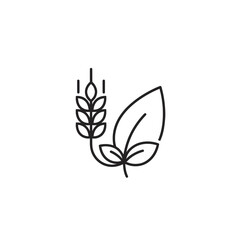 Wheat and leaf line icon for natural and organic products.