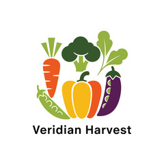 Fresh vegetables arranged in a circle for healthy eating and harvest.