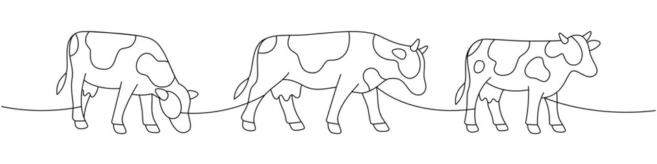 Cows in different poses. Elegant line drawing set of grazing and walking cattle
