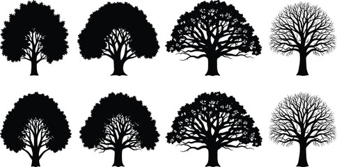 Black Silhouette Vector Set of Detailed Deciduous Trees with Full Leaves, Partial Foliage, and Bare Branches, Ideal for Nature Graphics, Landscaping Designs, and Environmental Icons