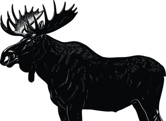 Highly Detailed Black Silhouette Vector Illustration of a Large Male Moose with Massive Antlers, Perfect for Wildlife Logos, North American Nature Graphics, and Outdoor Sport Content