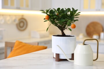 Potted tangerine tree and watering can on white marble table in kitchen, space for text