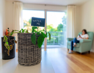 un macetero con una planta de hojas verdes, algunas hojas est&aacute;n marchitas, un letrero que tiene escrito "ri&eacute;game" al fondo una persona mirando su tel&eacute;fono, sentada en un sill&oacute;n