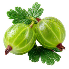 Gooseberries fresh fruit with leaves green and healthy food nutrition isolated on transprint background