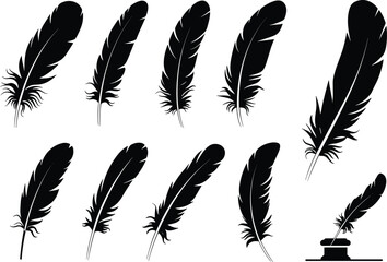 Black feather quill pen set vector illustration, vintage writing and calligraphy tool design, classic ink pen silhouette for art and decoration