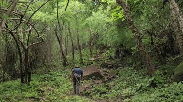 A man trekking up a steep mountain path during the rainy season, surrounded by vibrant green nature and misty wilderness. Perfect for adventure, travel, and outdoor footage.