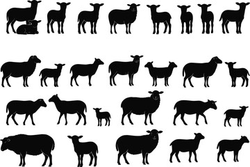 Black sheep and lamb silhouette vector illustration set, farm animal graphic design, agriculture livestock element, countryside nature concept, rural wool artwork