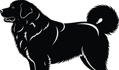 Tibetan Mastiff silhouette vector, black dog profile, thick fur detail, curled tail, livestock guardian icon, pet clipart, animal illustration