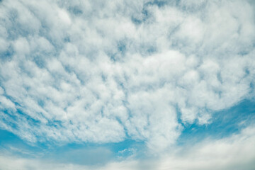 秋晴れの薄い雲　さわやかな青空と鰯雲　天気・美しい背景　アウトドア・自然の背景