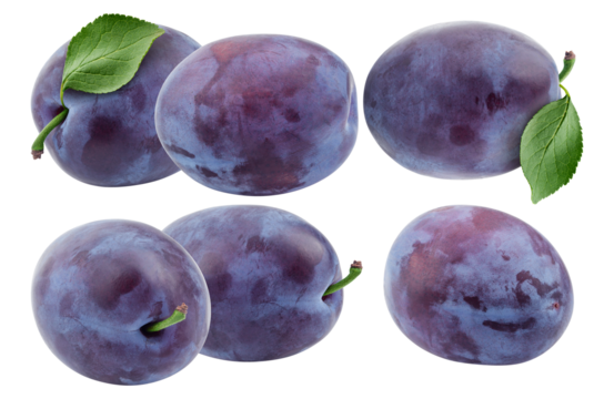 cluster of fresh, whole purple plums with green leaves attached, showcasing their natural waxy bloom and deep color, isolated on black.