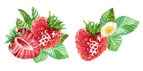A set of arrangements featuring red strawberries and green leaves. Several designs featuring ripe juicy strawberries in single file. Hand drawn watercolor illustration. Designs for packing cosmetics, 