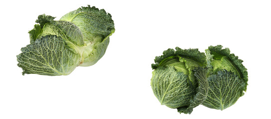 fresh, whole savoy cabbage heads photograph isolated on transparent background, showcasing the vibrant green, crinkled leaves and texture.