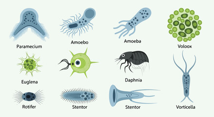 Microorganisms collection with transparent background