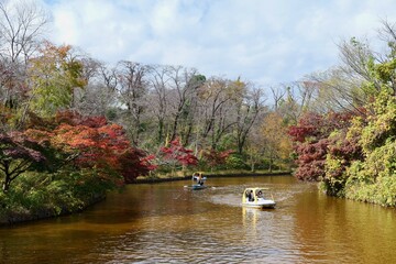 横浜, こどもの国の白鳥湖と紅葉
