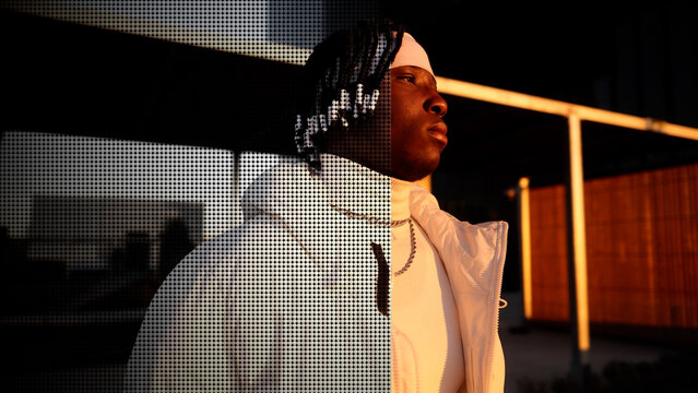 Halftone Dots Effect With Media Replace & Controls