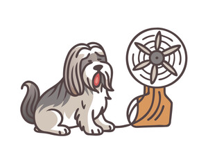 tibetan terrier and fan vector icon
