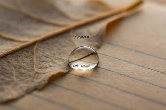 A single water drop holding the message Trace Left Behind
