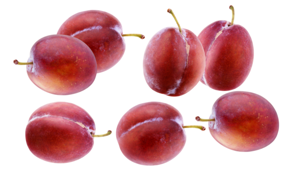 six fresh, ripe red and purple plums floating and isolated on a pure transparent background, highlighting healthy eating, farm-fresh produce, and natural sweetness.