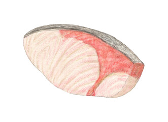 ブリの切り身　水彩色鉛筆イラスト