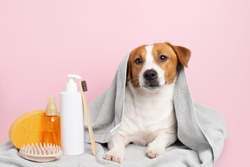 Cute dog wrapped in a soft towel lying next to pet grooming supplies on a pastel pink background © Anna