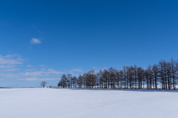 Endless blue skies and a snowy windbreak