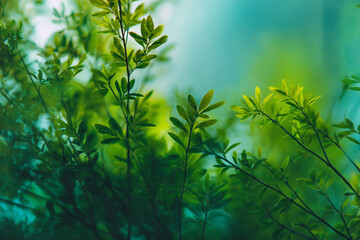 Naklejka premium Natural Green Foliage Background for Eco Branding