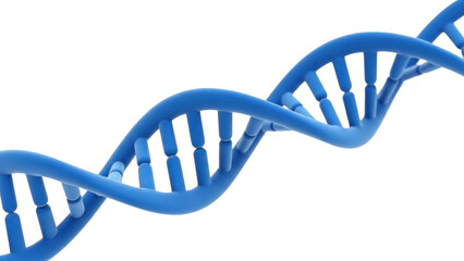 Blue DNA strand isolated on white background