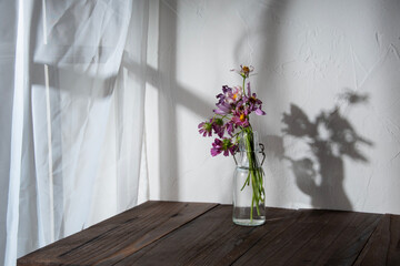 静物画　秋桜　コスモス　花瓶　影　日差し