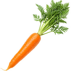 Fresh and vibrant carrot with green leaves isolated on black background