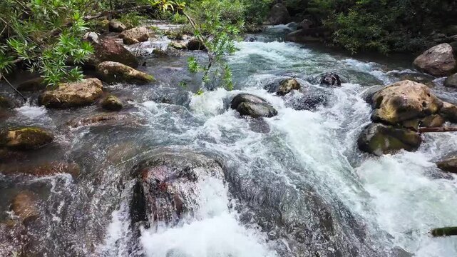 Superb view of summer: Slow motion of the fantastic Moot valley in Phong Nha National Park, Vietnam with the sound of a clear stream flowing through the peaceful tropical jungle