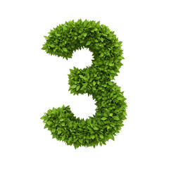 Number Three Made of Green Leaves Isolated on Black Background