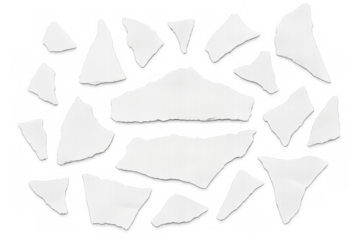 Collection of white torn paper pieces and scraps with rough edges, creating a texture on transparent background